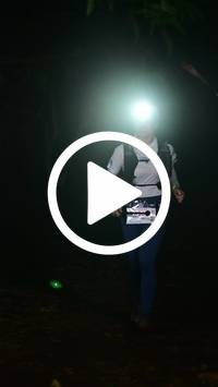 BIB:  <button type="button" onclick="openModal(27808615)" class="btn btn-primary btn-sm float-right" data-toggle="modal" data-target=".modal-high-quality">
                <i class="fa fa-download"></i> Download
                </button>